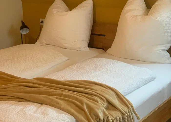 招待所 Gaestehaus Reichmann 3*